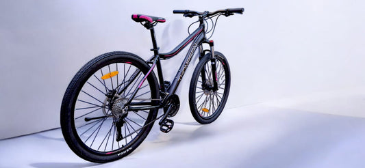 BICICLETA THOMPSON KAMROS A 5