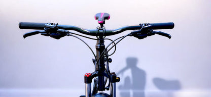 BICICLETA THOMPSON KAMROS A 5