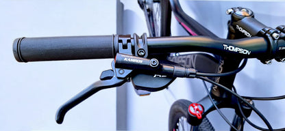 BICICLETA THOMPSON KAMROS A 5